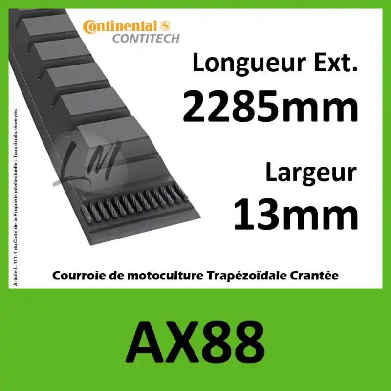 Commander Maintenant Courroie AX88 – Continental