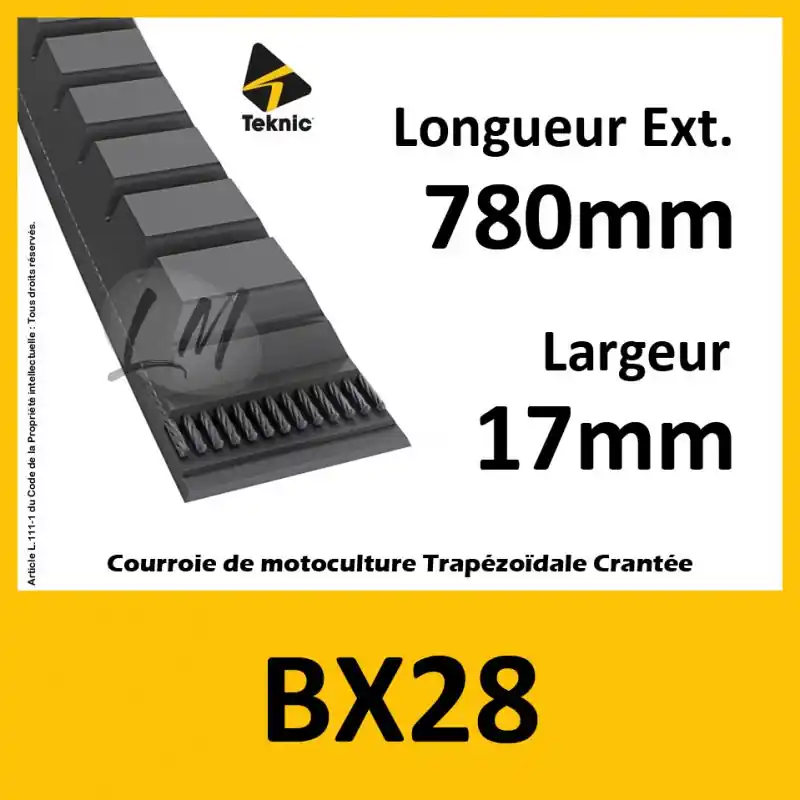 Achetez Aujourd&rsquo;hui Courroie BX28 – Teknic