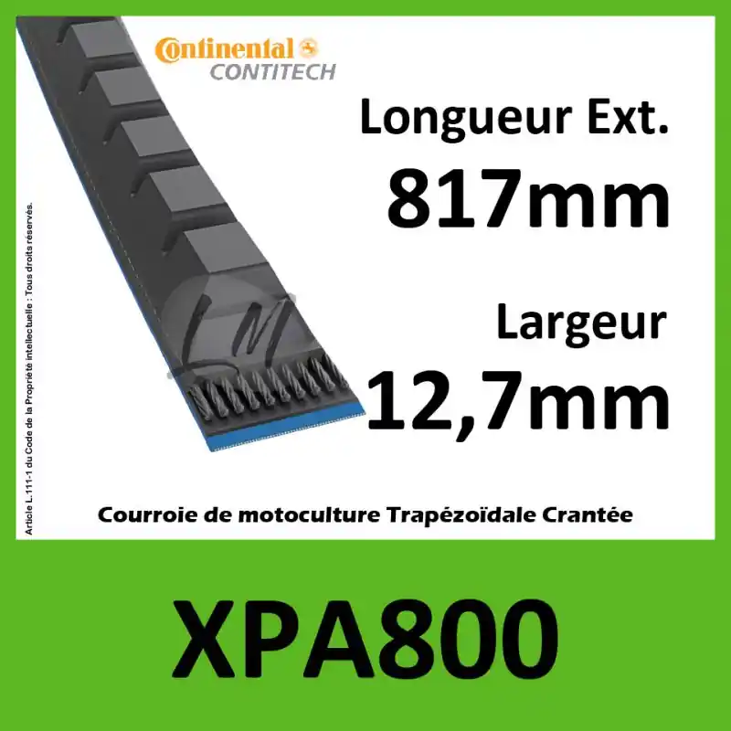 Acheter En Ligne Courroie XPA800 – Continental Pioneer
