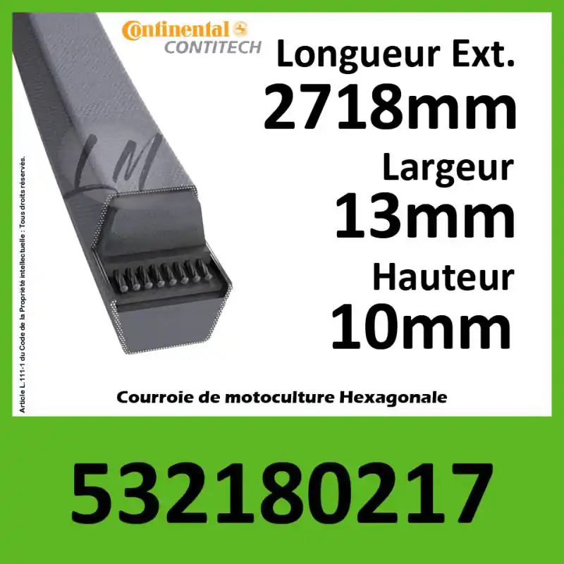 Acheter Direct Courroie Hexagonale 532180217