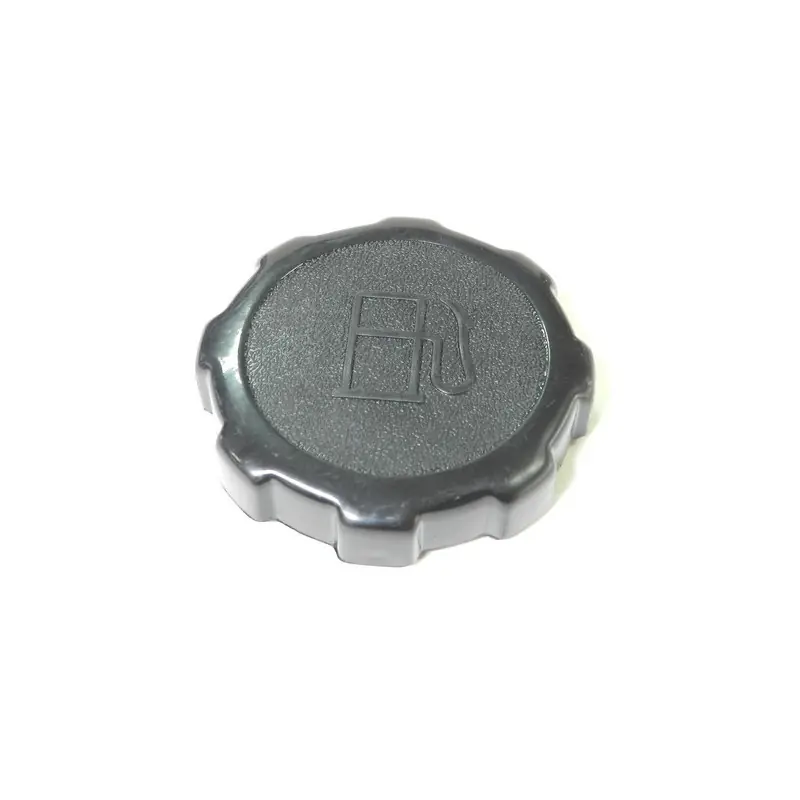 Bouchon réservoir essence moteur Briggs et Stratton Expédition Rapide