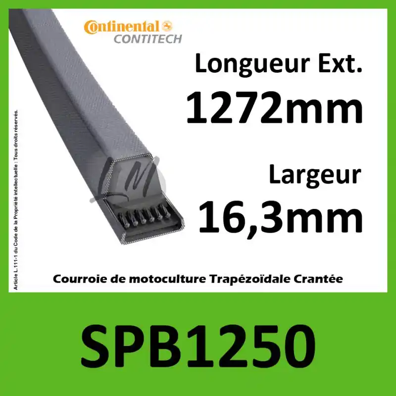 Top Vente Courroie SPB1250 – Continental