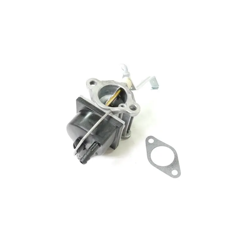 Authentique Carburateur moteur Tecumseh TVT691