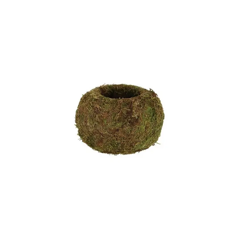 Bon Marché Kokedama Boule de Mousse – Déco Naturelle et Écologique