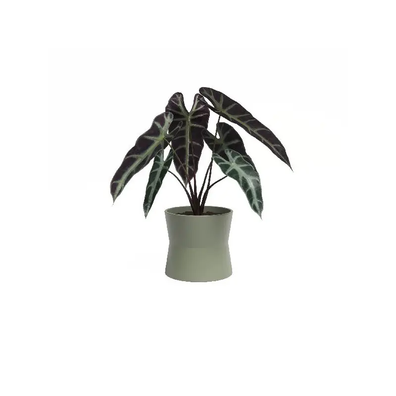 Cache-pot Diana 14 cm Vert – Élégance et Style pour vos Plantes d‘Intérieur Dernière Chance