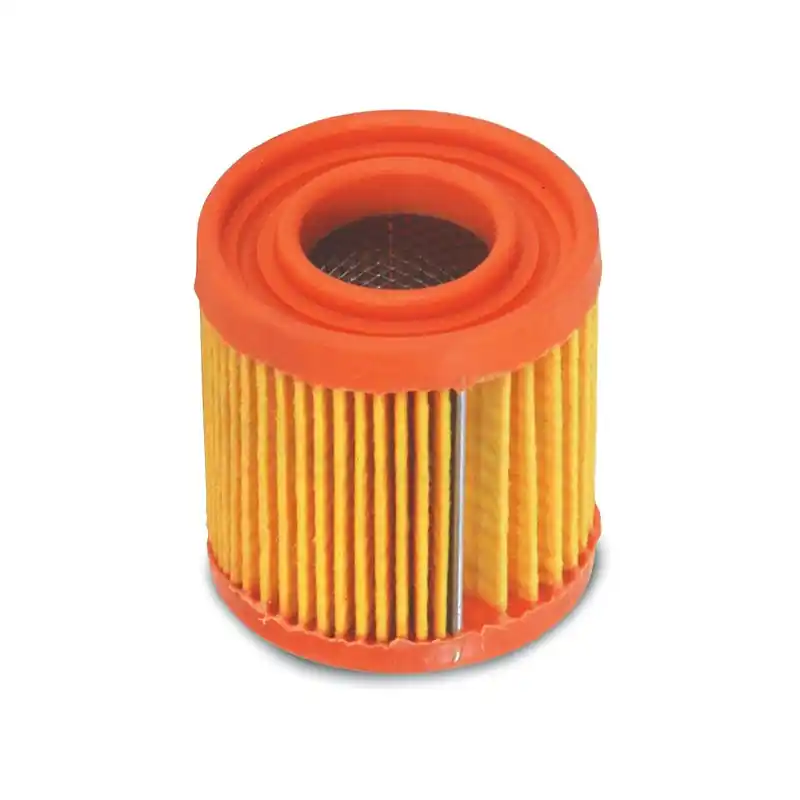 Filtre a air moteur Tecumseh BVL153 Prix Bas