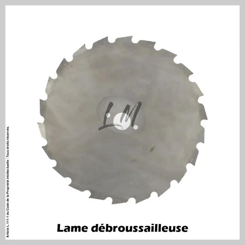 Acheter Direct Lame débroussailleuse 22 dents Ø200 mm Al 20 mm