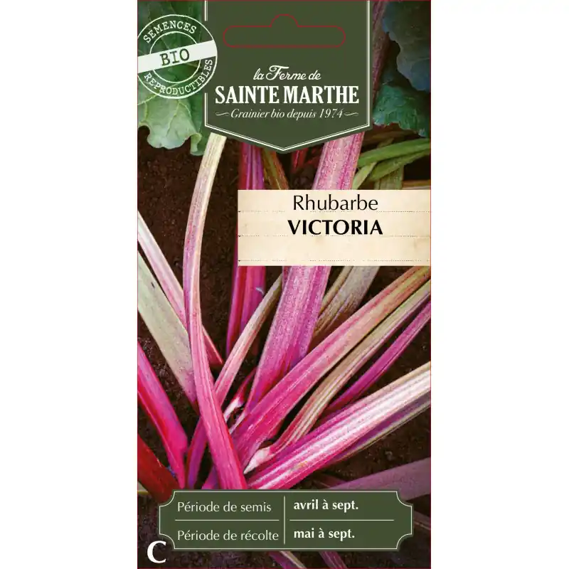 Rhubarbe géante victoria bio de la ferme sainte marth – graines à semer Expédié Aujourd&rsquo;hui