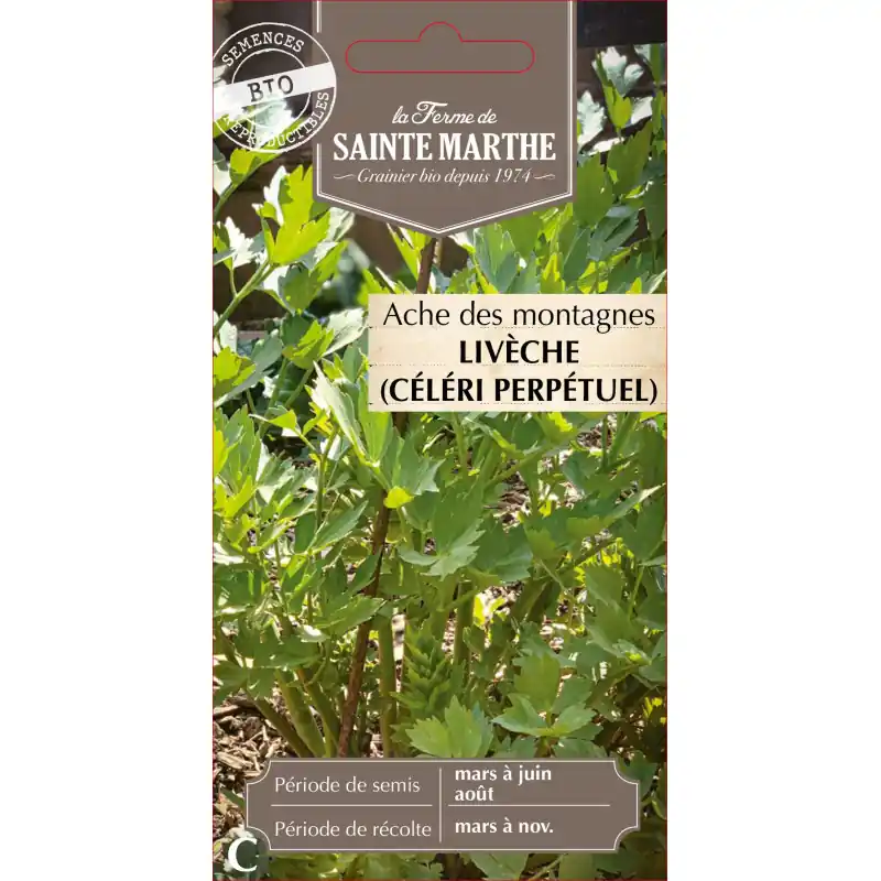 Ache des montagnes – sainte marthe, fruits secs naturels et délicieux – graines à semer Commander Maintenant