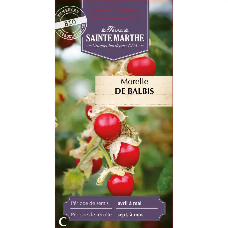 Morelle de balbis bio – délicieuse baie nutriments naturels ferme sainte marthe – graines à semer Offre Exclusive