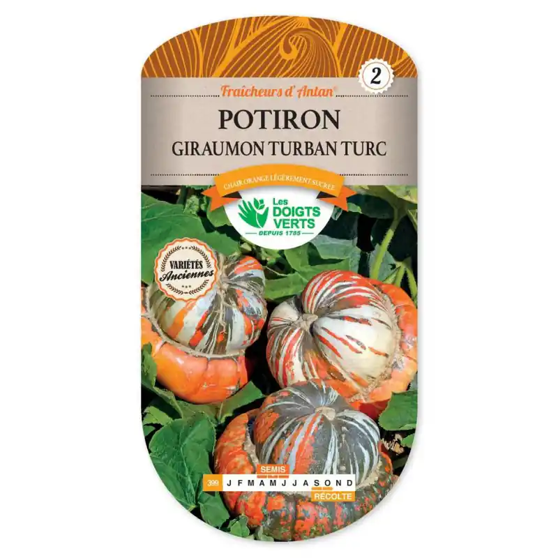 Potiron giraumon turban turc – graines 4g – les doigts verts Nouveauté