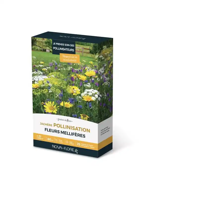 Haute Qualité Jachère Pollinisation Éco 50-100 m² – Favorisez la Biodiversité et la Pollinisation