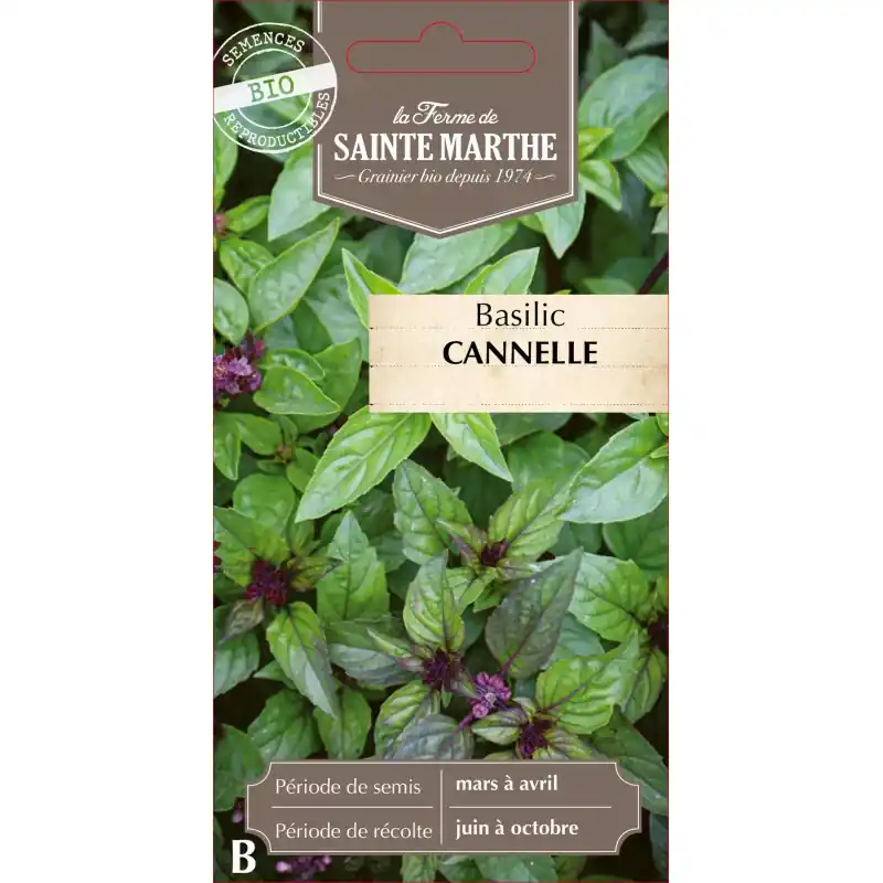 Basilic cannelle bio de la ferme sainte marthe – graines à semer Solde