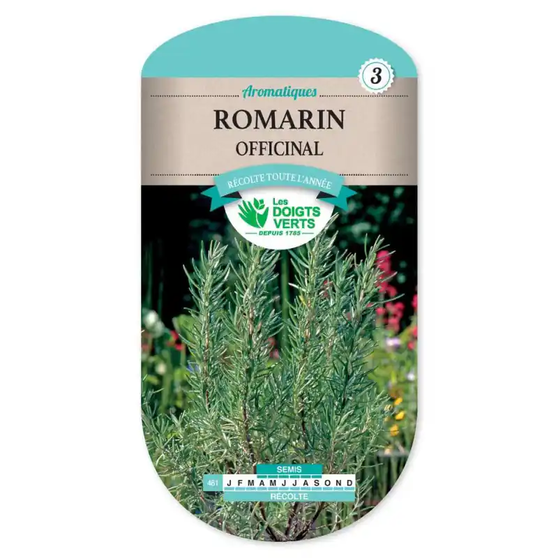 Romarin officinal – sachet de graines 0,2g – les doigts verts Commander Maintenant