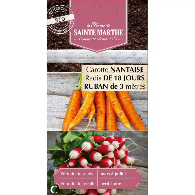 Ruban de carottes nantaise et radis bio – sainte marthe 18j – graines à semer Prix Réduit