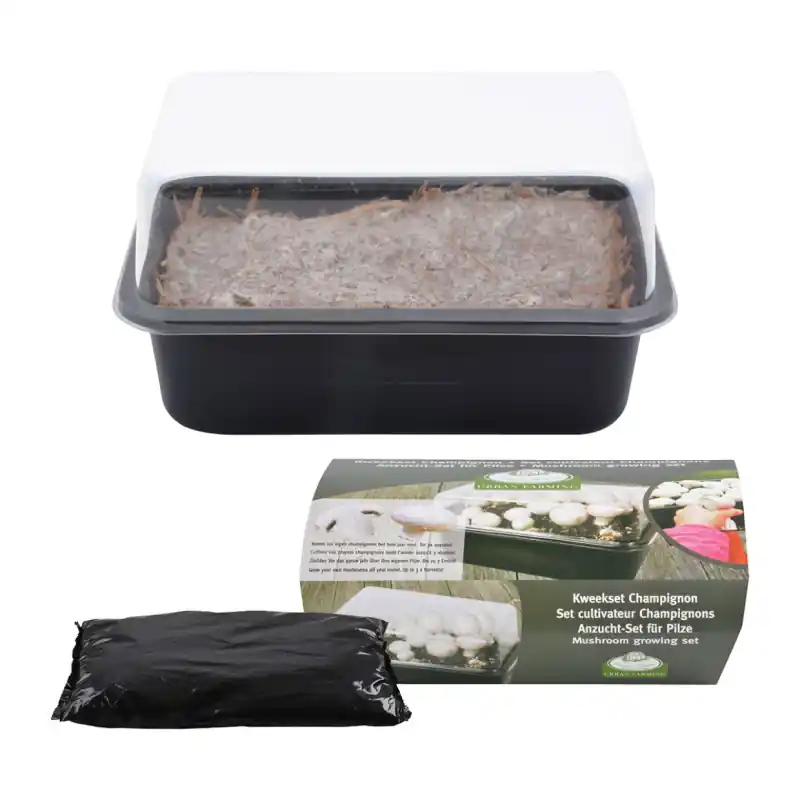 Set Cultivateur de Champignons – Kit Complet pour Élever Vos Propres Champignons à Domicile Prix Réduit