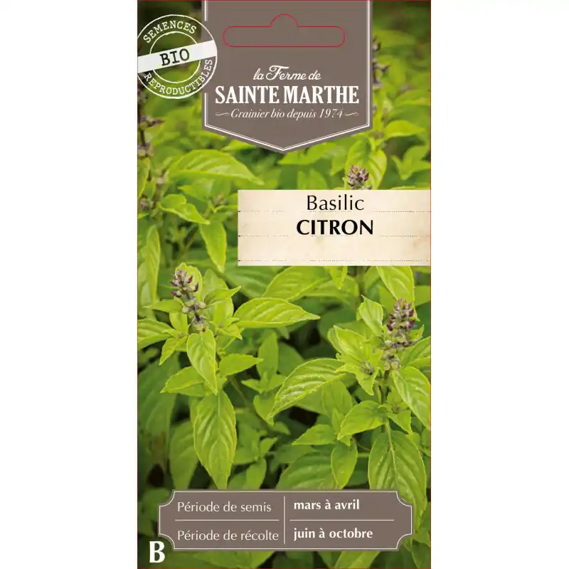 Prix Choc Basilic citron bio de la ferme sainte marthe – herbe aromatique fraîche – graines à semer