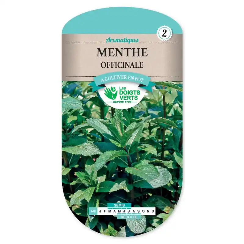 Menthe officinale – sachet de graines 0,25g – les doigts verts Meilleure Vente