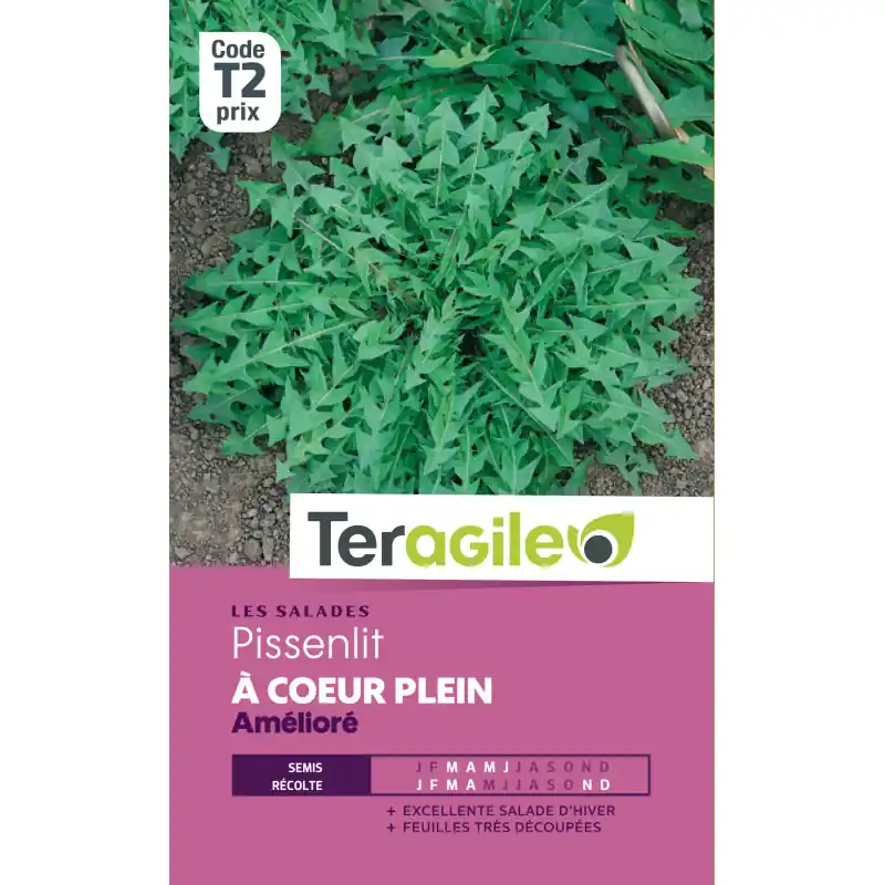 Achetez Aujourd&rsquo;hui Pissenlit t2 teragile
