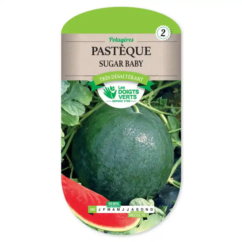 Pasteque sugar baby – sachet de graines 5g – les doigts verts Promotion Saisonnière