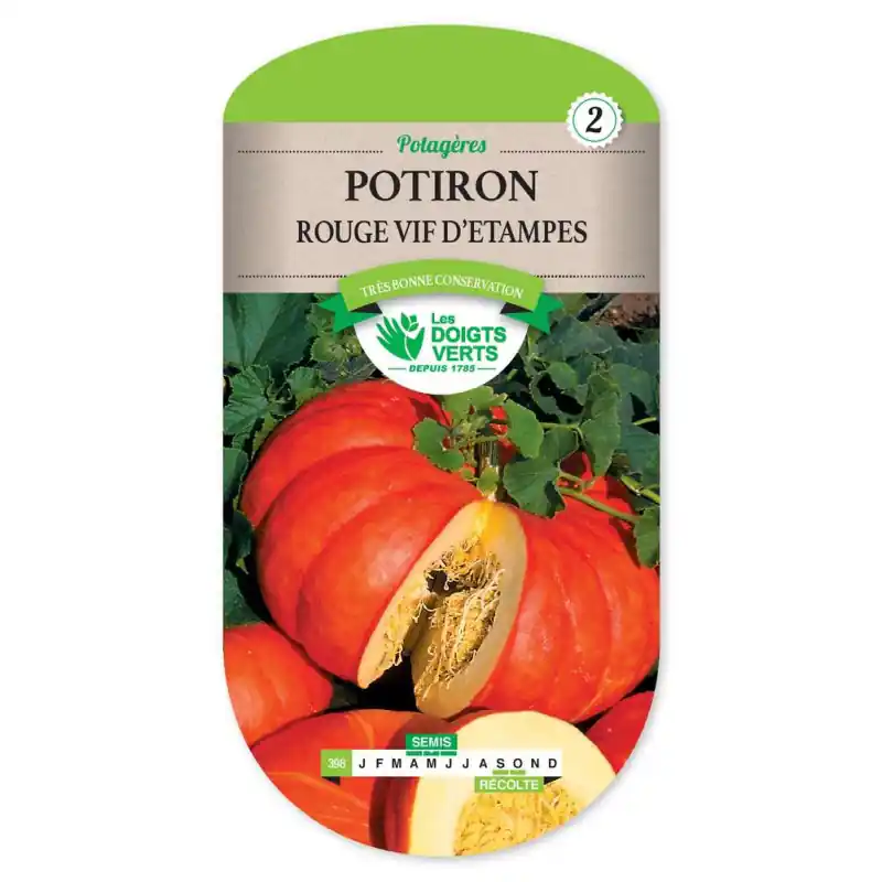 Potiron rouge vif d‘etampes – graines 6g – les doigts verts Promotion Saisonnière