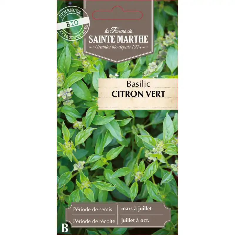 Produit De Marque Basilic citron vert bio de la ferme sainte marthe pour cuisine aromatique – graines à semer
