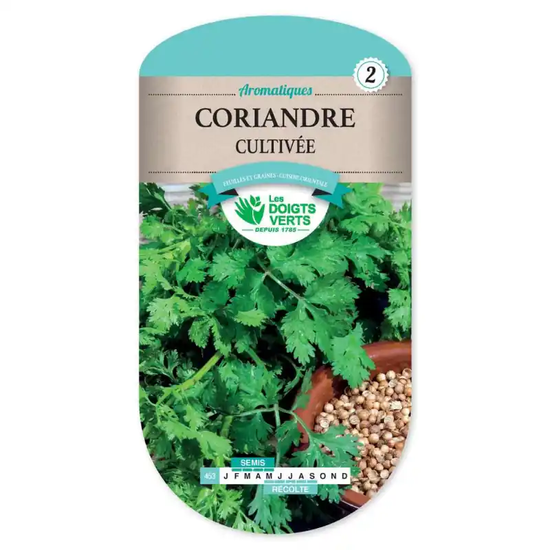 Coriandre cultivee – sachet de graines 6g – les doigts verts Meilleure Vente