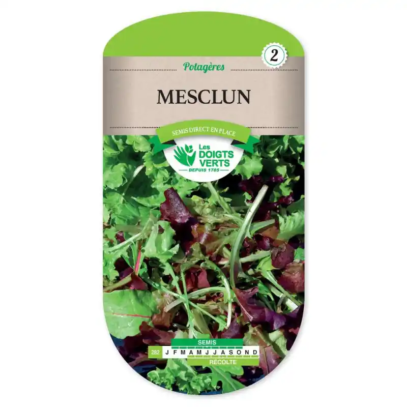 Vente Directe Mesclun (salade en melange) – graines 6g – les doigts verts
