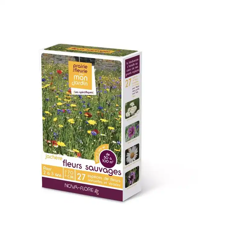 Paiement Sécurisé Jachère Fleurs Sauvages 50-100m² – Semences de Fleurs pour Écologie et Biodiversité