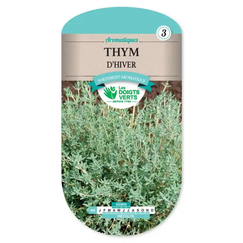 Bon Plan Thym d‘hiver (ordinaire) – graines 0,6g – les doigts verts