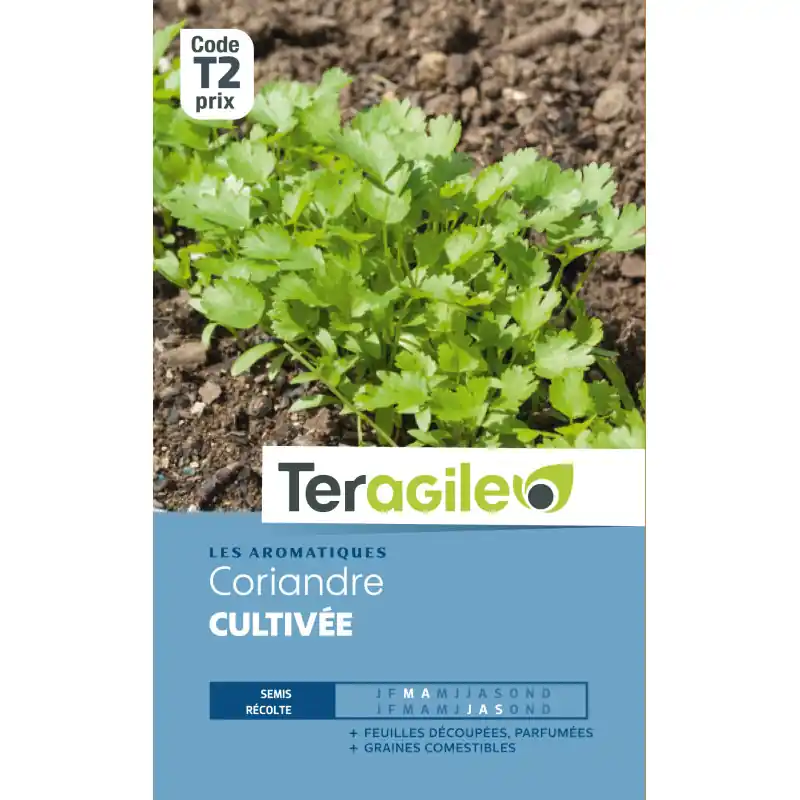 Coriandre cultivee 5,00 g Bon Plan