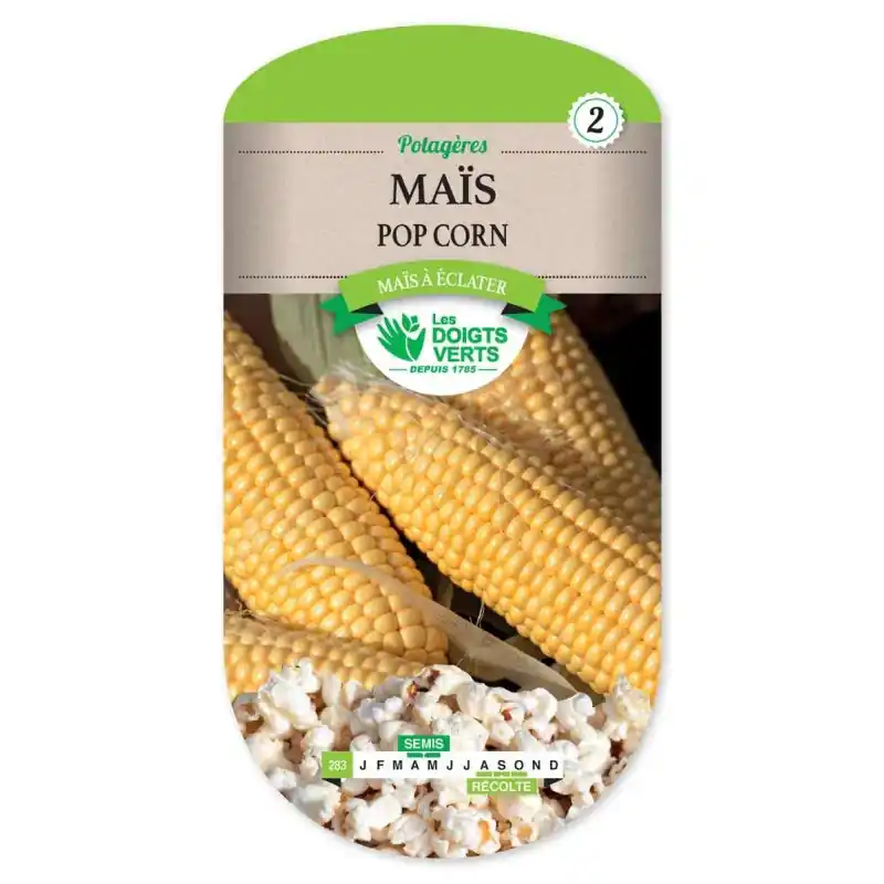Mais pop corn – sachet de graines 5g – les doigts verts Commande En Gros