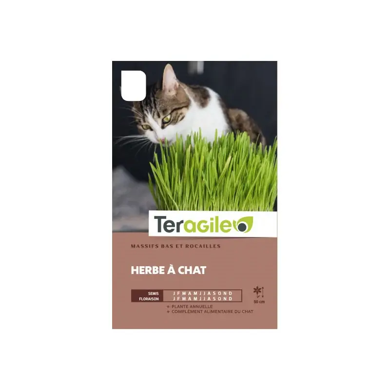 Herbe a chat 10,0 g Expédition Rapide