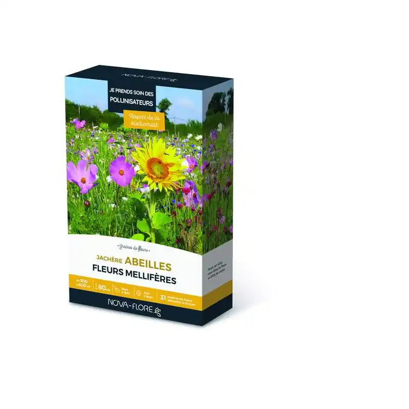 Jachère à Abeilles 300-600 m² Favorisez la Biodiversité dans Votre Jardin Offre Exclusive