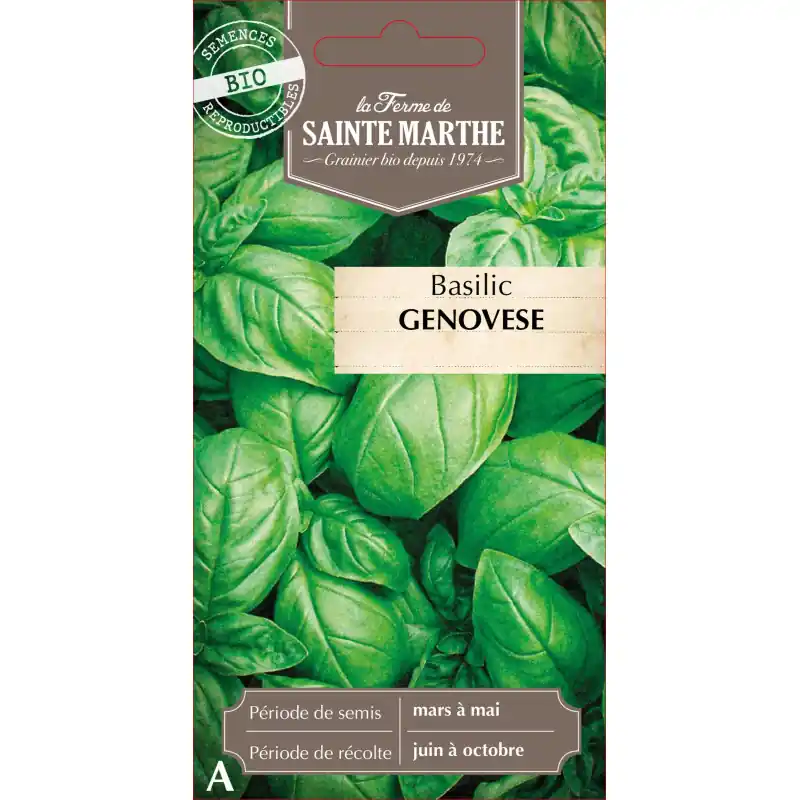 Basilic genovese bio de la ferme sainte marthe – herbes aromatiques fraîches – graines à semer Commande En Gros