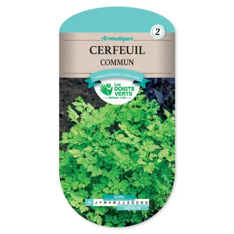 Cerfeuil commun – sachet de graines 8g – les doigts verts Prix Réduit