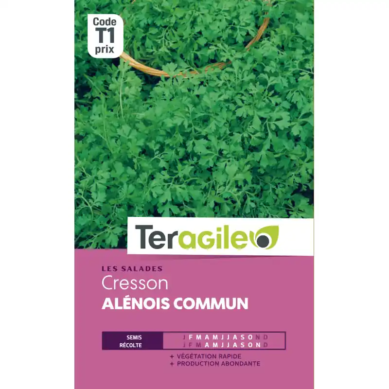 Prix Choc Cresson alenois commun t1 teragile