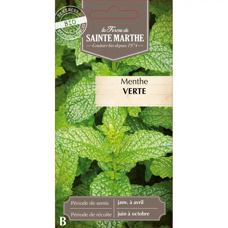 Menthe verte bio de la ferme sainte marthe – fraîcheur et qualité 100% naturelle – graines à semer Offre Limitée