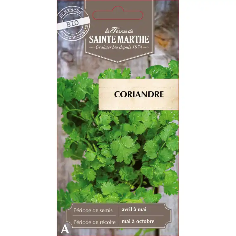 Marque Coriandre bio fraîche de la ferme sainte marthe – saveur authentique et naturelle – graines à semer