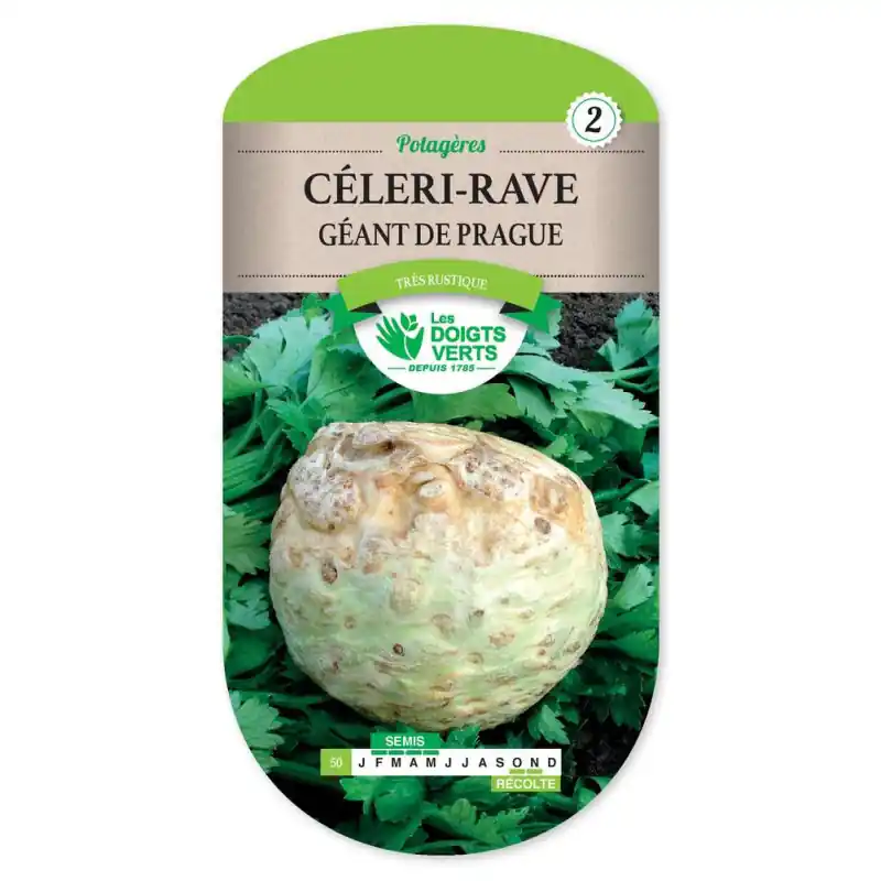 Celeri rave géant de prague – graines 2g – les doigts verts Retour Gratuit