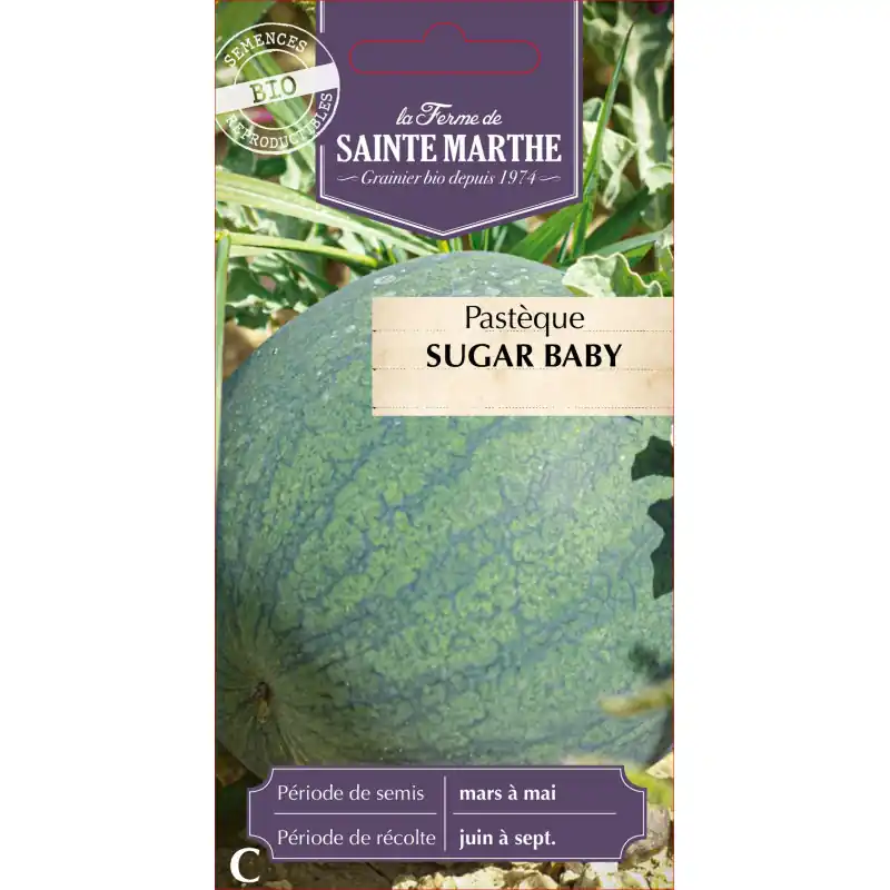 Promotion Saisonnière Pasteque sugar baby bio de la ferme sainte marthe savoureuse et juteuse – graines à semer