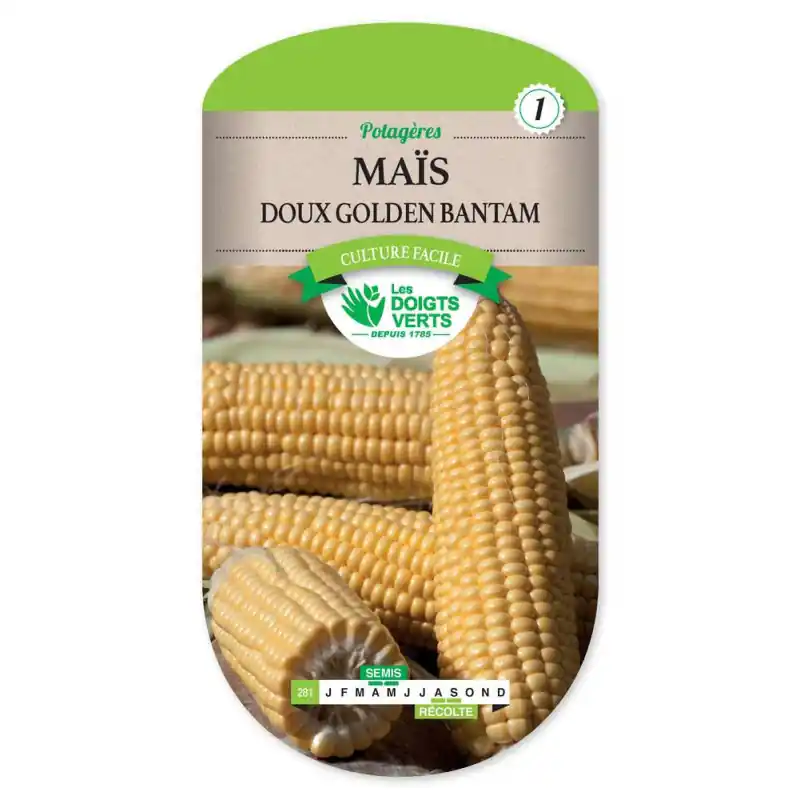 Expédié Aujourd&rsquo;hui Mais doux sucre – sachet de graines 8g – les doigts verts