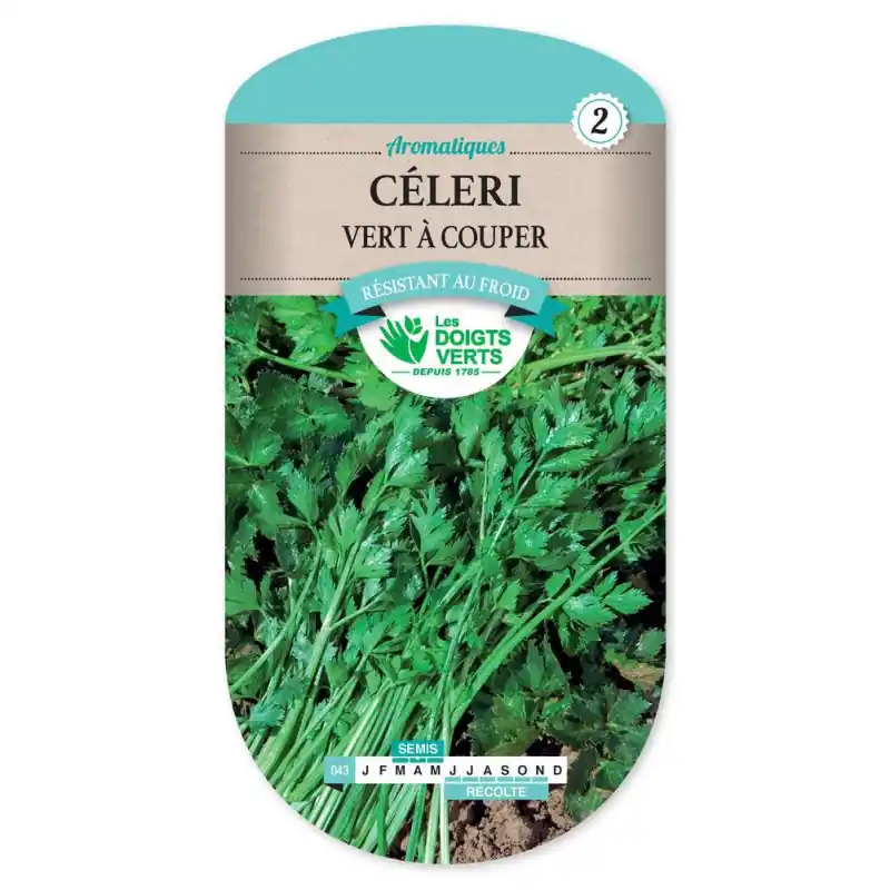 Celeri vert a couper – sachet de graines 2g – les doigts verts Réduction