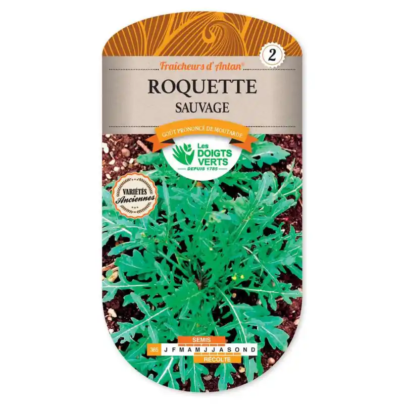 Soldes Roquette sauvage – sachet de graines 3g – les doigts verts