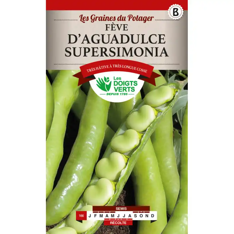 Expédié Aujourd&rsquo;hui Feves aguadulce tres l. cosses – graines 250g – les doigts verts