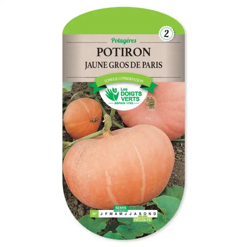 Promotion Potiron jaune gros de paris – graines 6g – les doigts verts
