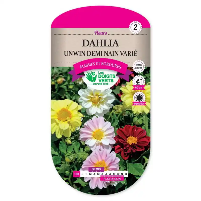 Dahlia unwins ideal 1/2 n. varie – graines 1,5g – les doigts verts Meilleure Vente