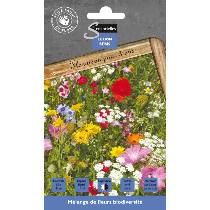 Melange fleurs biodiversité – graines 20g – les doigts verts Prix Bas