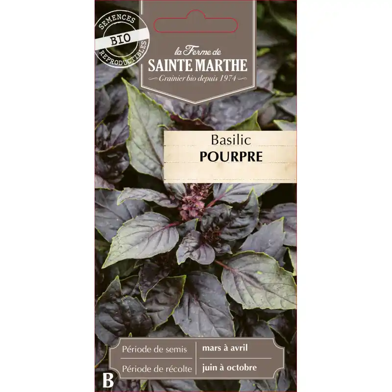 Meilleure Vente Basilic pourpre bio – saveur intense de la ferme sainte marthe – graines à semer