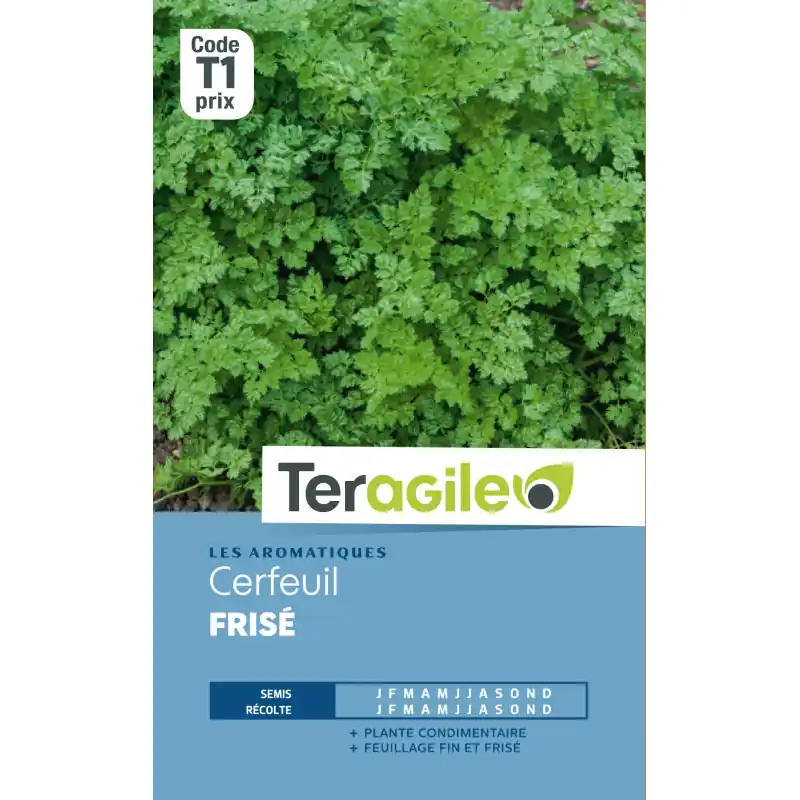 Meilleur Choix Cerfeuil frise t1 teragile